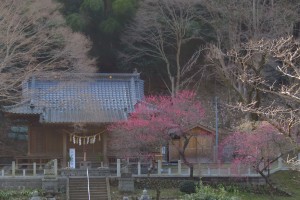 平統登山