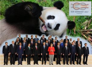 G20_PANDA