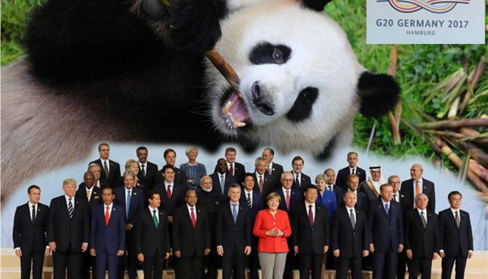 G20_PANDA